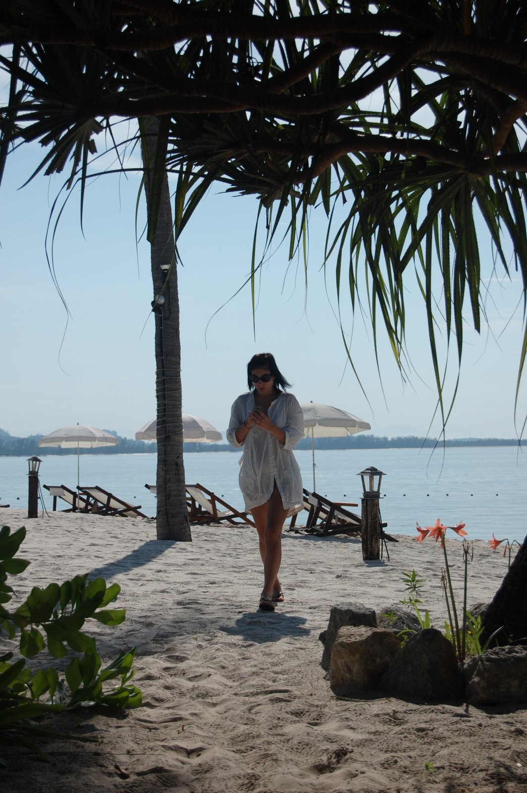[DSC_0389.JPG]