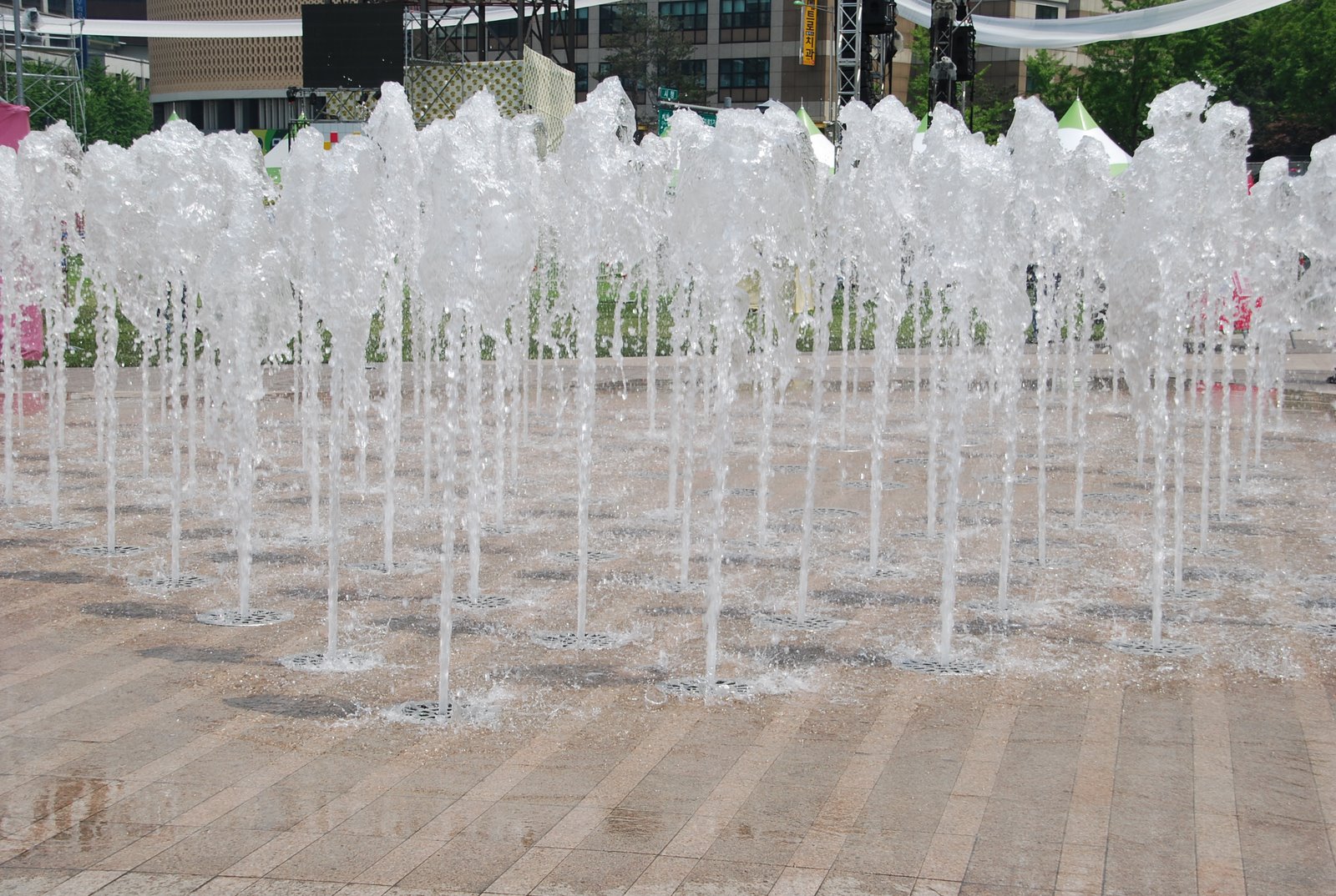 [DSC_0028.JPG]