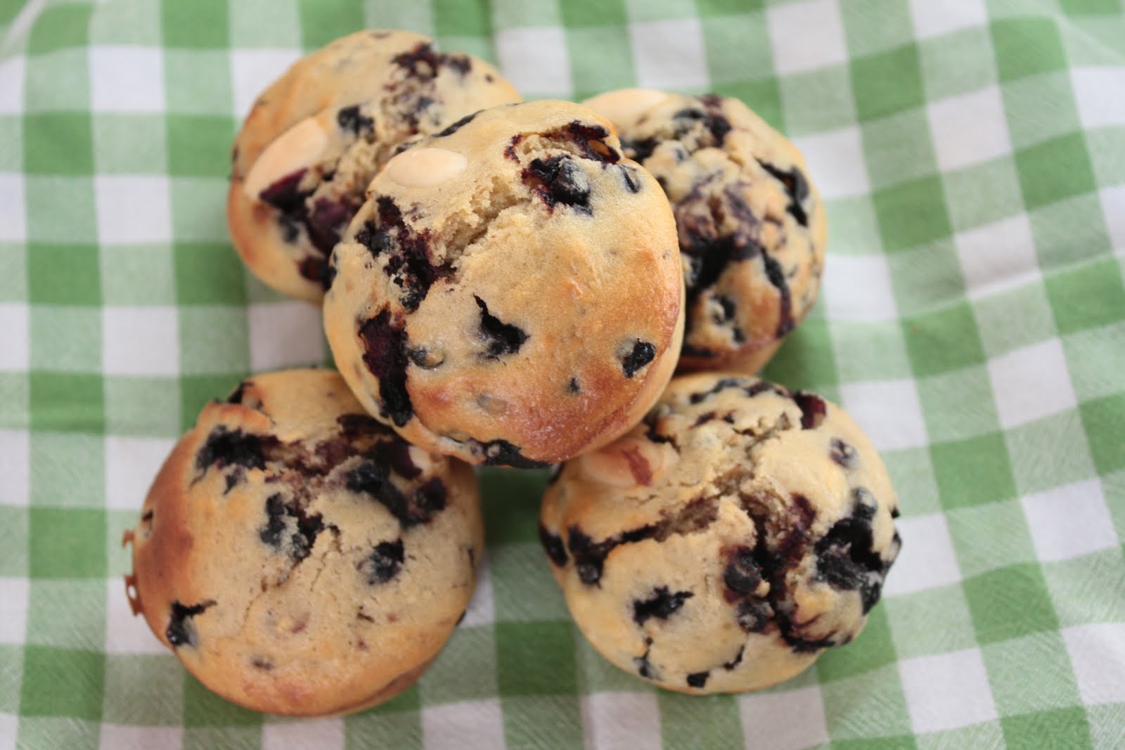 Vegetable Gum Bird Seed