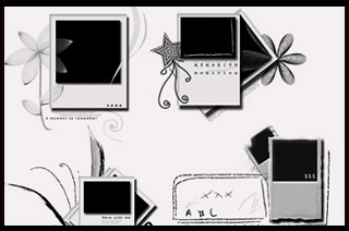[polaroidbrush6.jpg]