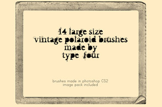[polaroidbrush3.jpg]