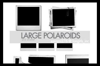 Polaroid Brushes For Your Creativity
