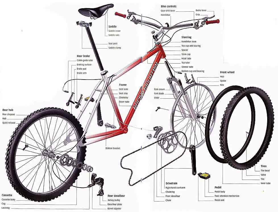 Por qué no talento Menos Componentes/partes de una bicicleta en ingles (Bicycle parts) | ForoMTB.com