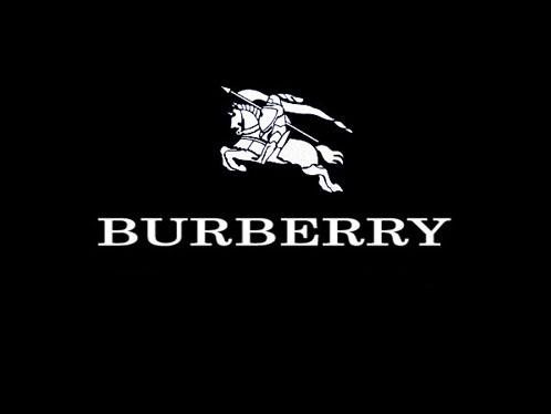 burberry_logo_1248218056.jpg