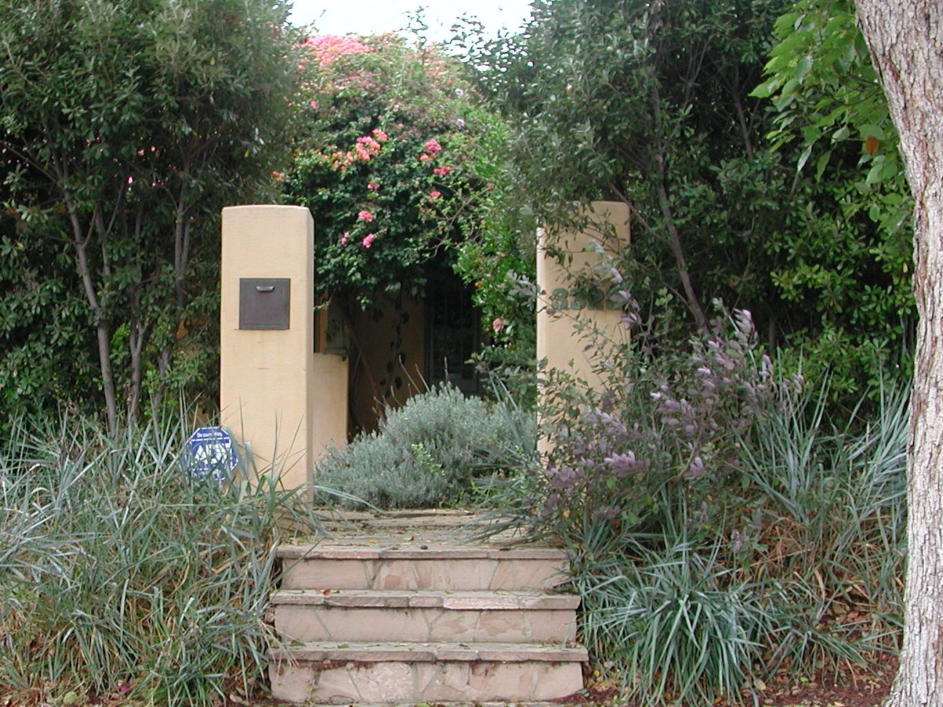 Fairy Yardmother Landscape Design: Front Yards -- Hedges and Columns