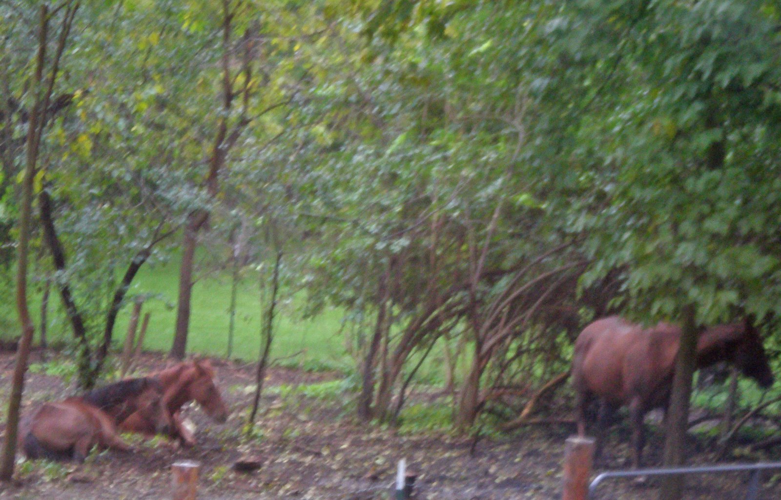 [2008+10+08_0076_edited-1.JPG]