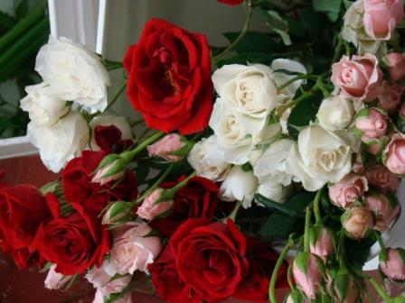 [7-10+wedding+prep+(5).JPG]