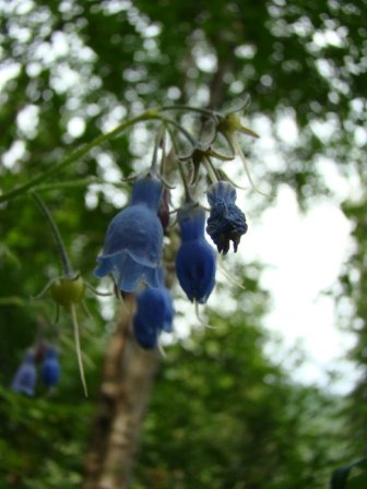 [7-4+Epic+Adventure+(7).JPG]