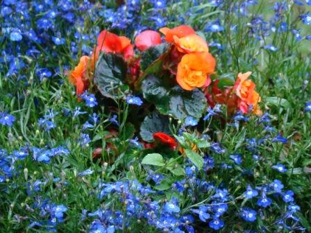 [overnight+bike+ride+063.JPG]