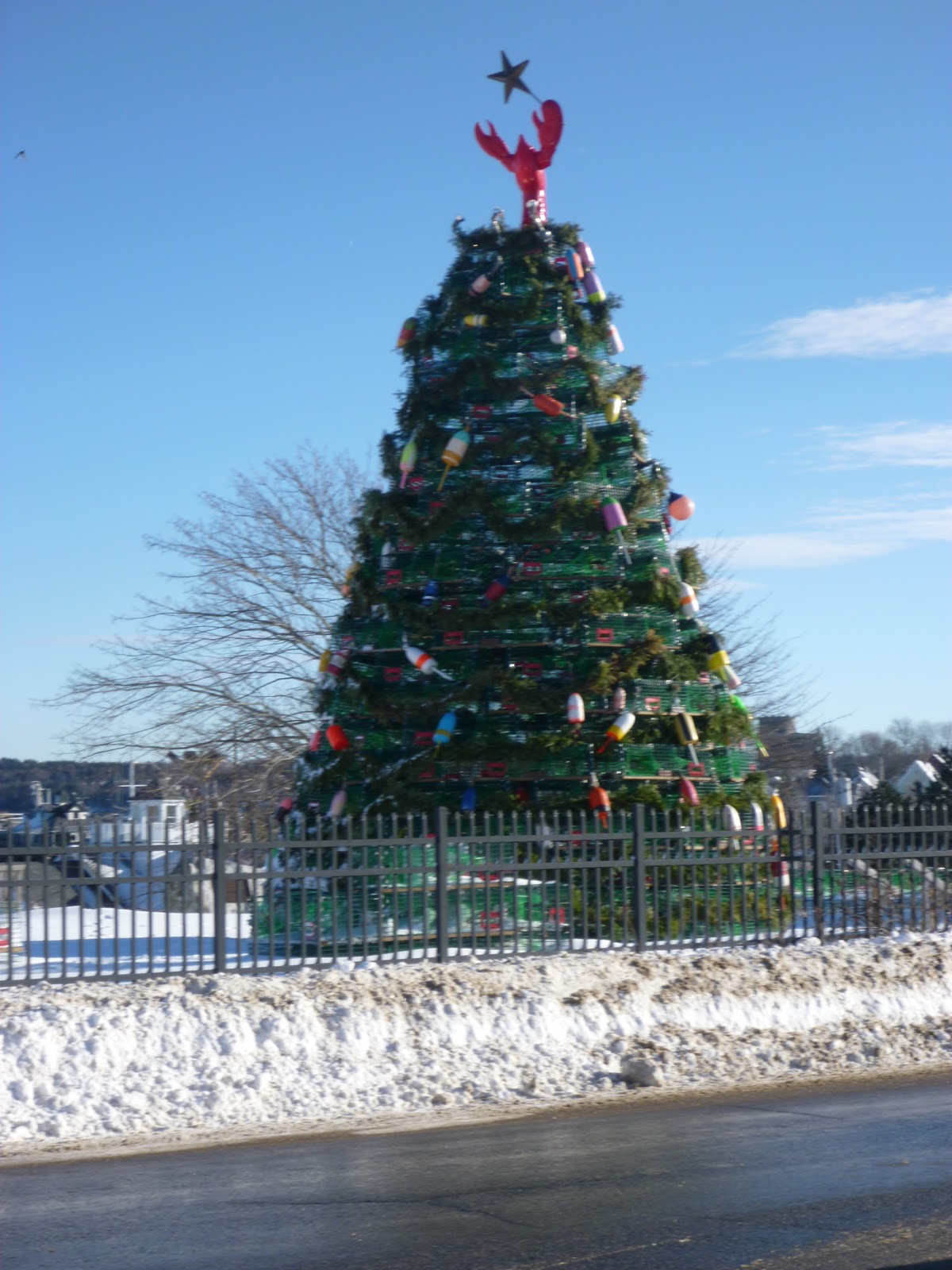 Voyages>`·.¸¸.·´¯`·...¸> Rockland, Maine Lobster Trap Christmas Trees