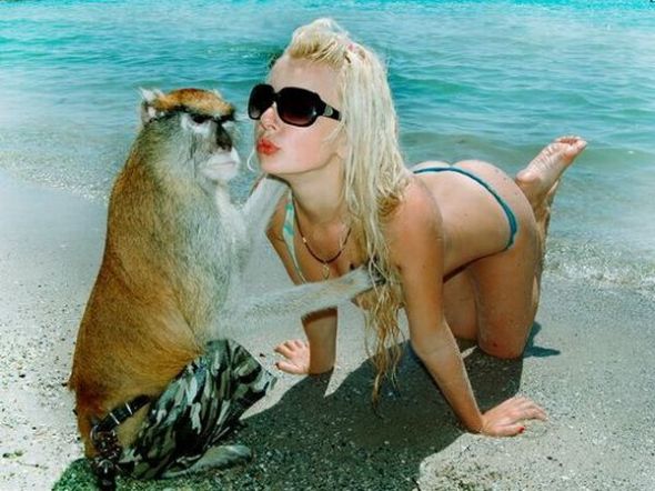 [mulher-macaco_portugal_porreiro.jpg]