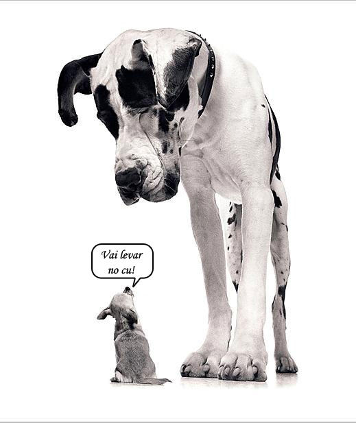 [prova-de-coragem_portugal_porreiro.jpg]