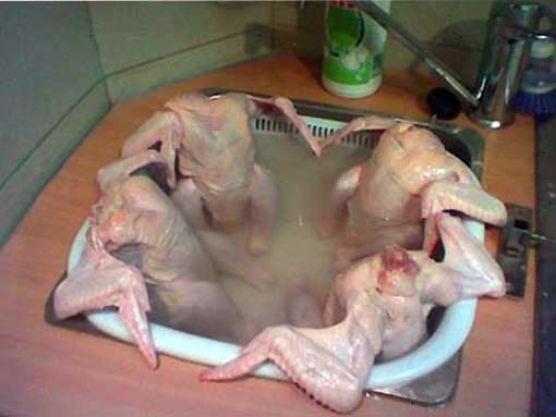 [jacuzzi_galinhas_portugal_porreiro.jpg]