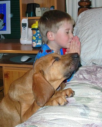 [oracao_portugal_porreiro.jpg]