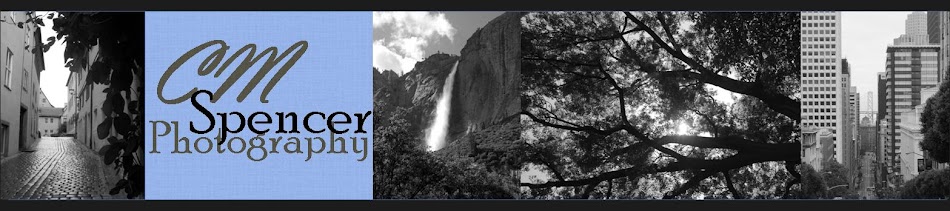 CM Spencer Photography