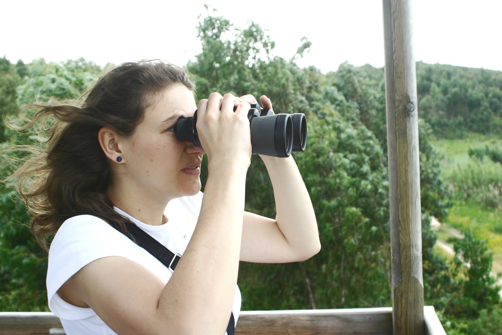 [Ulisses+-+Maio+2006+008.jpg]