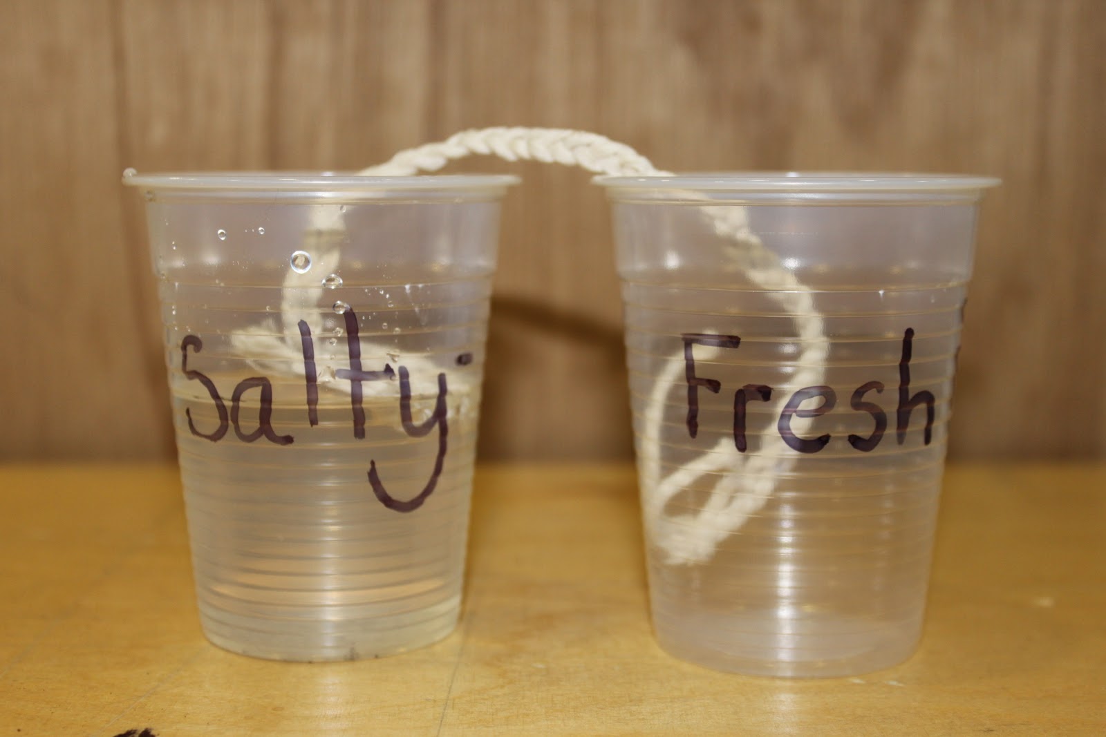 Alex Loudon Research File water wick tests 1 and 2