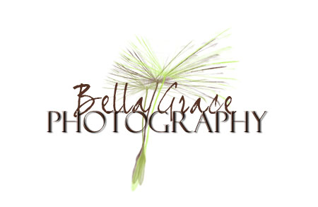 Bella Grace Photography and Design Blog