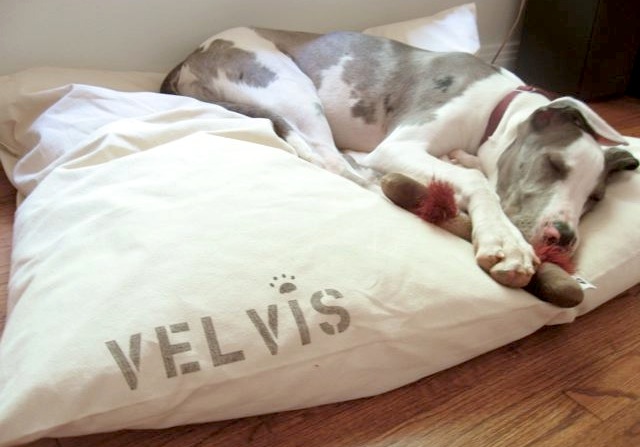 best washable dog bed best washable dog bed