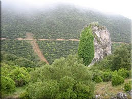 Ladera norte de Txulato visto desde el collado