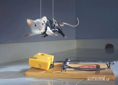 [mouse+and+cheese.jpg]
