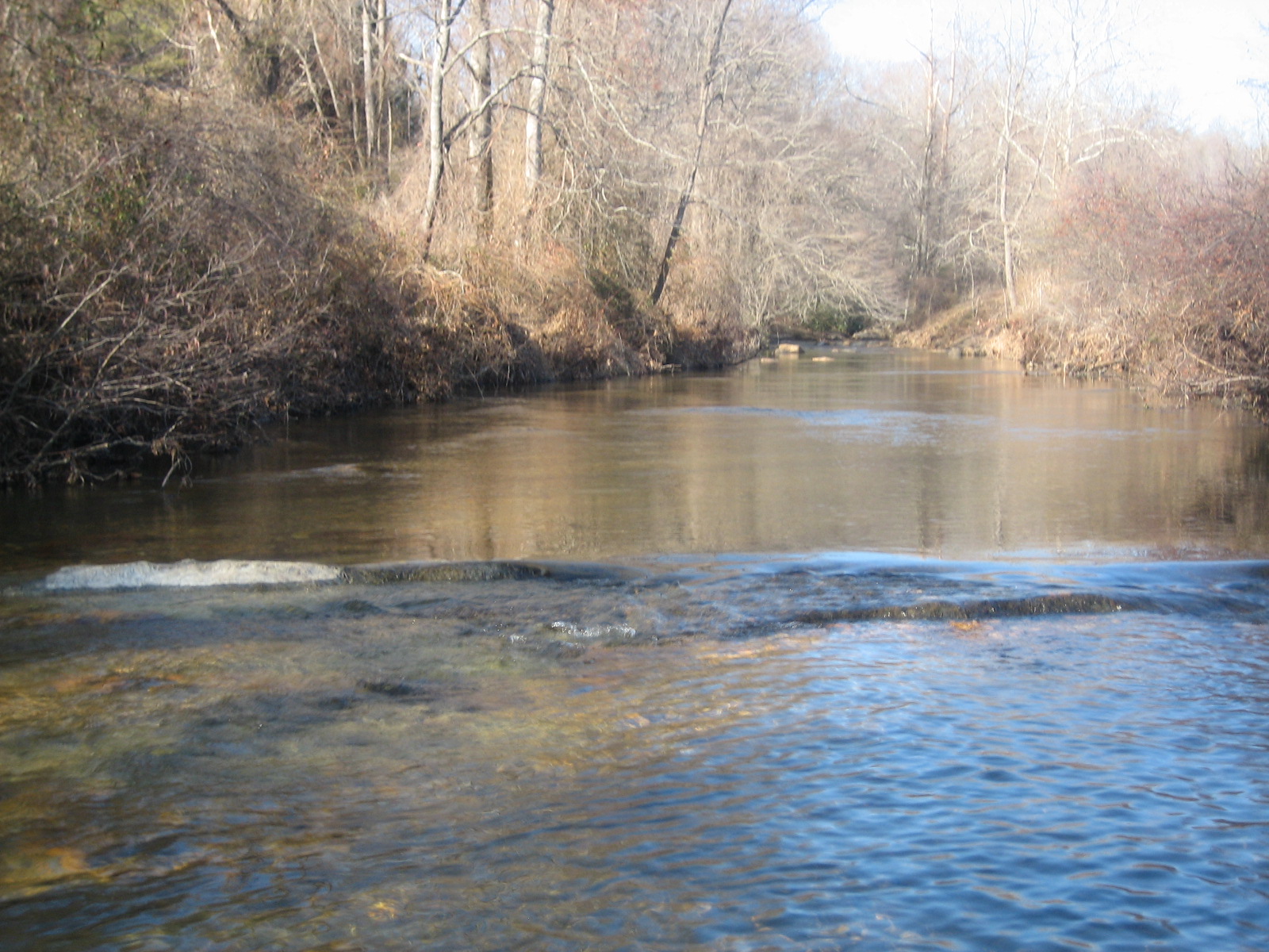 Fin 'n Feather Fishing Report Mitchell River, NC