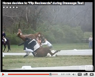 Behind the Bit: Flipping over: Nice looking horse, scary behavior