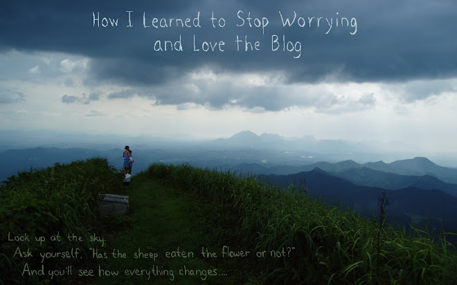 How I Learned to Stop Worrying and Love the Blog