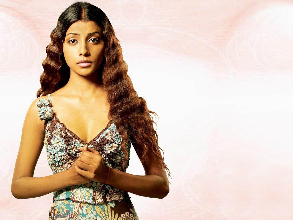South Indians Hot Actress Photos Wallpapers Biography