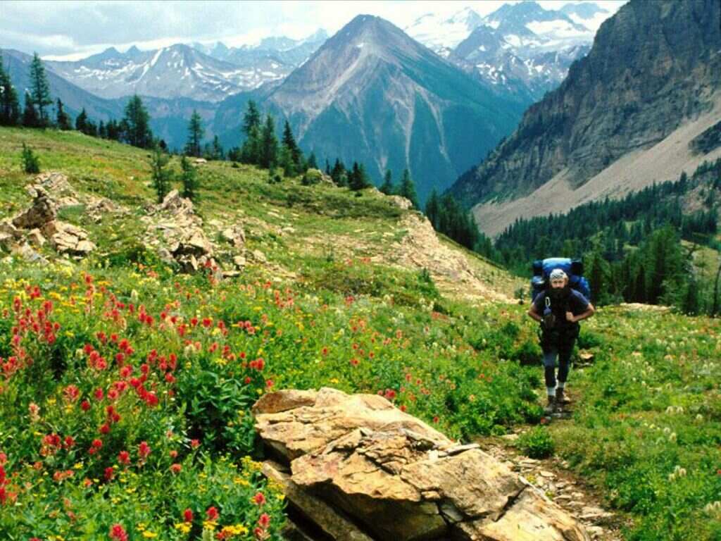 [wallpaper_nat069.jpg]