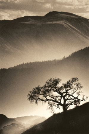 [desert-dreams-ii.jpg]