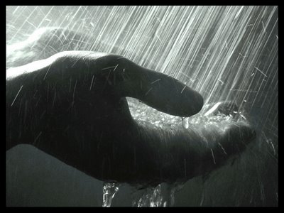 [poema_vitorferolla.jpg]