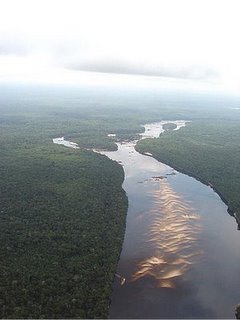 [Amazonia_Pico_Neblina.jpg]
