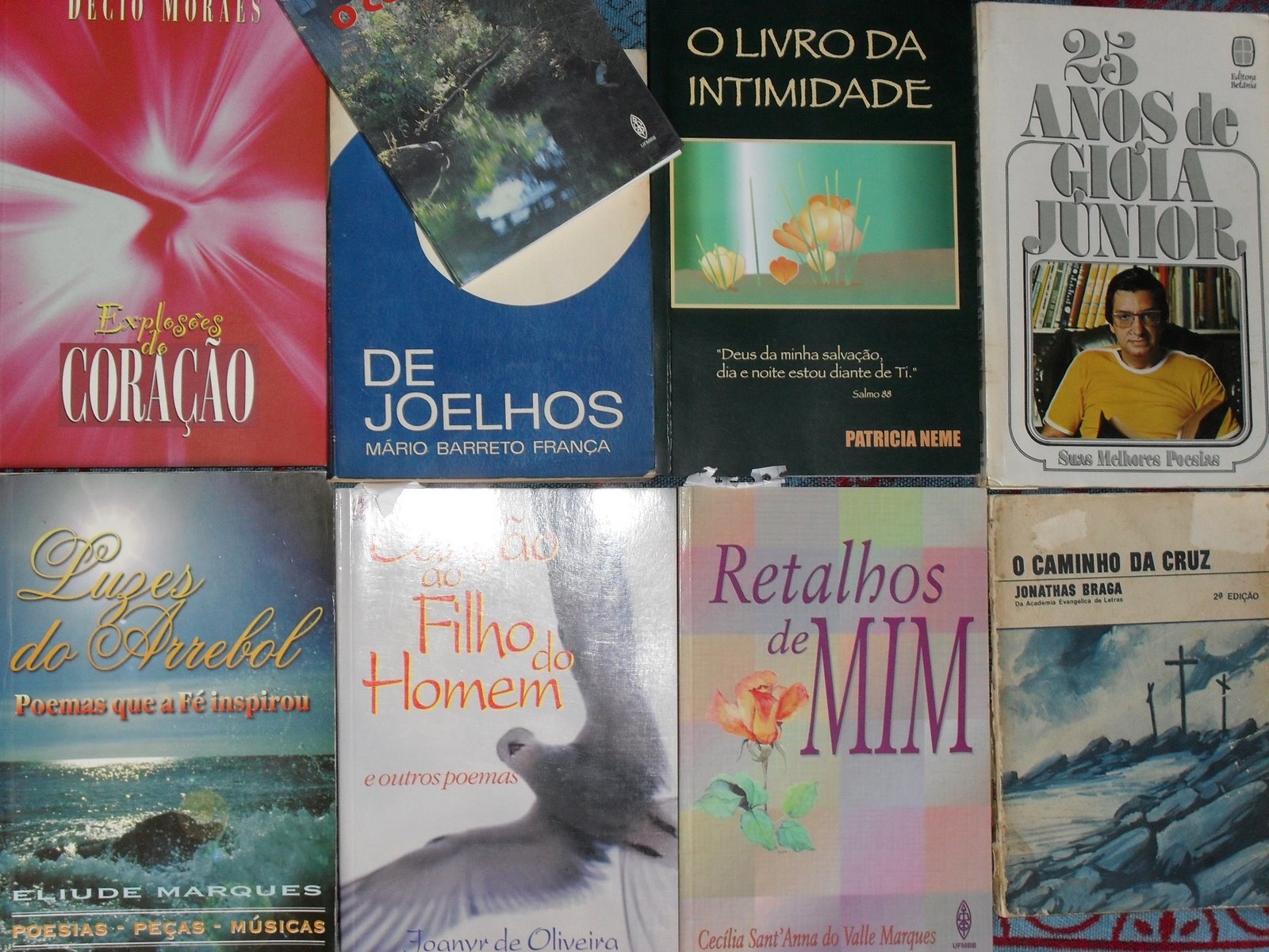 [poesia_evangelica_livros.JPG]