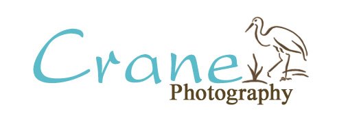 Crane Photography
