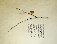 tao te ching