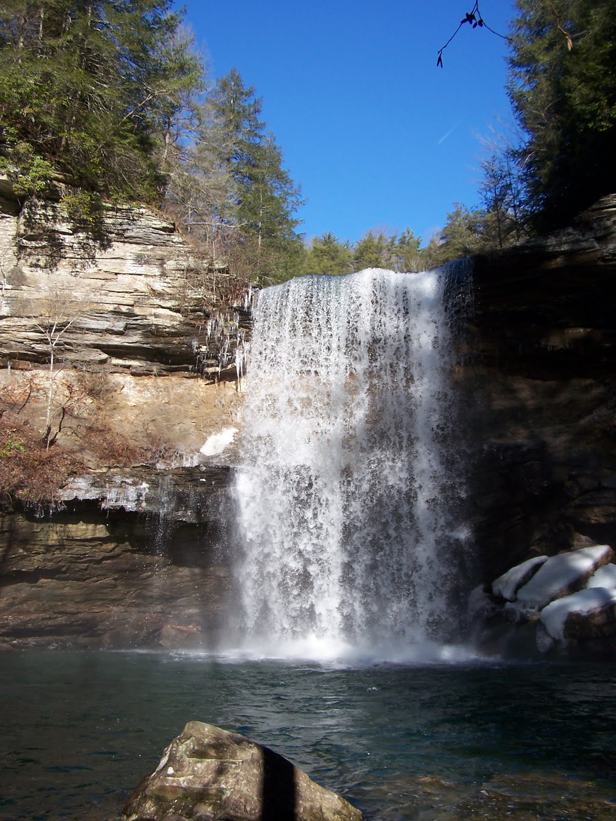 TRAINING WHEELS NOT INCLUDED Greeter & Boardtree Falls Tennessee