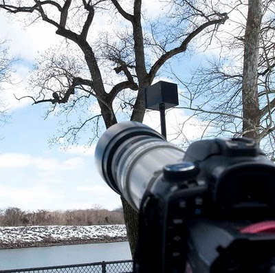 eagle 7d canon conowingo bald dam photography 400mm zacuto filming finder lens