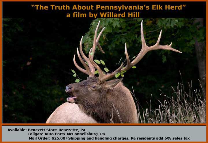 "The Truth About Pennsylvania's Elk Herd"