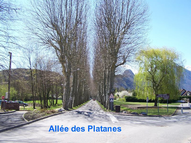 Allée des Platanes : tout d'abord de jour ...