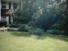 Side Flower Bed