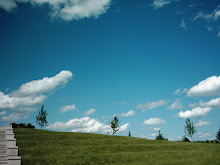 Spring Sky