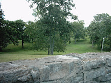 Rock Wall