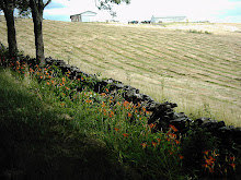 Rock Wall, Field and Lillies