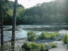 Pools of River Water