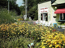 Black-eyed Susan