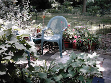 Sit Awhile