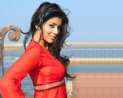 ACTRESS WORLD: Sreya Hot