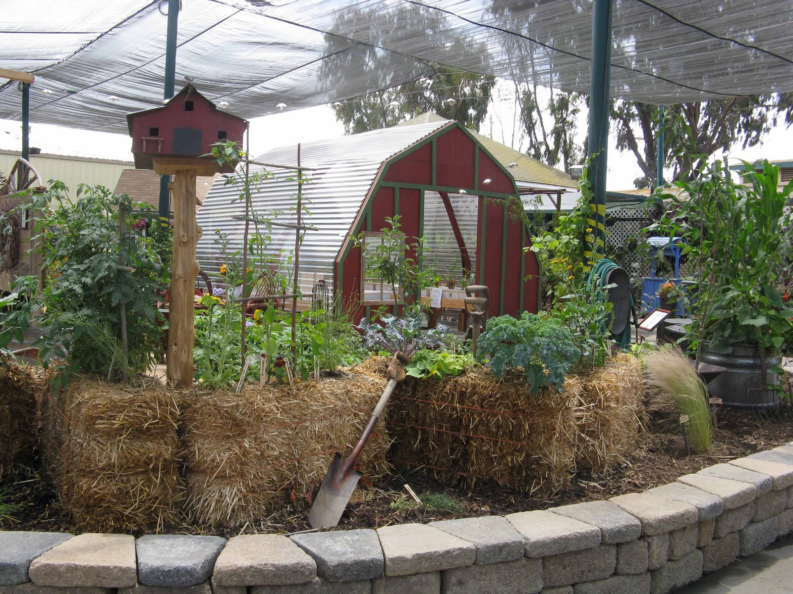 The Green Truth Hay Bale Gardening
