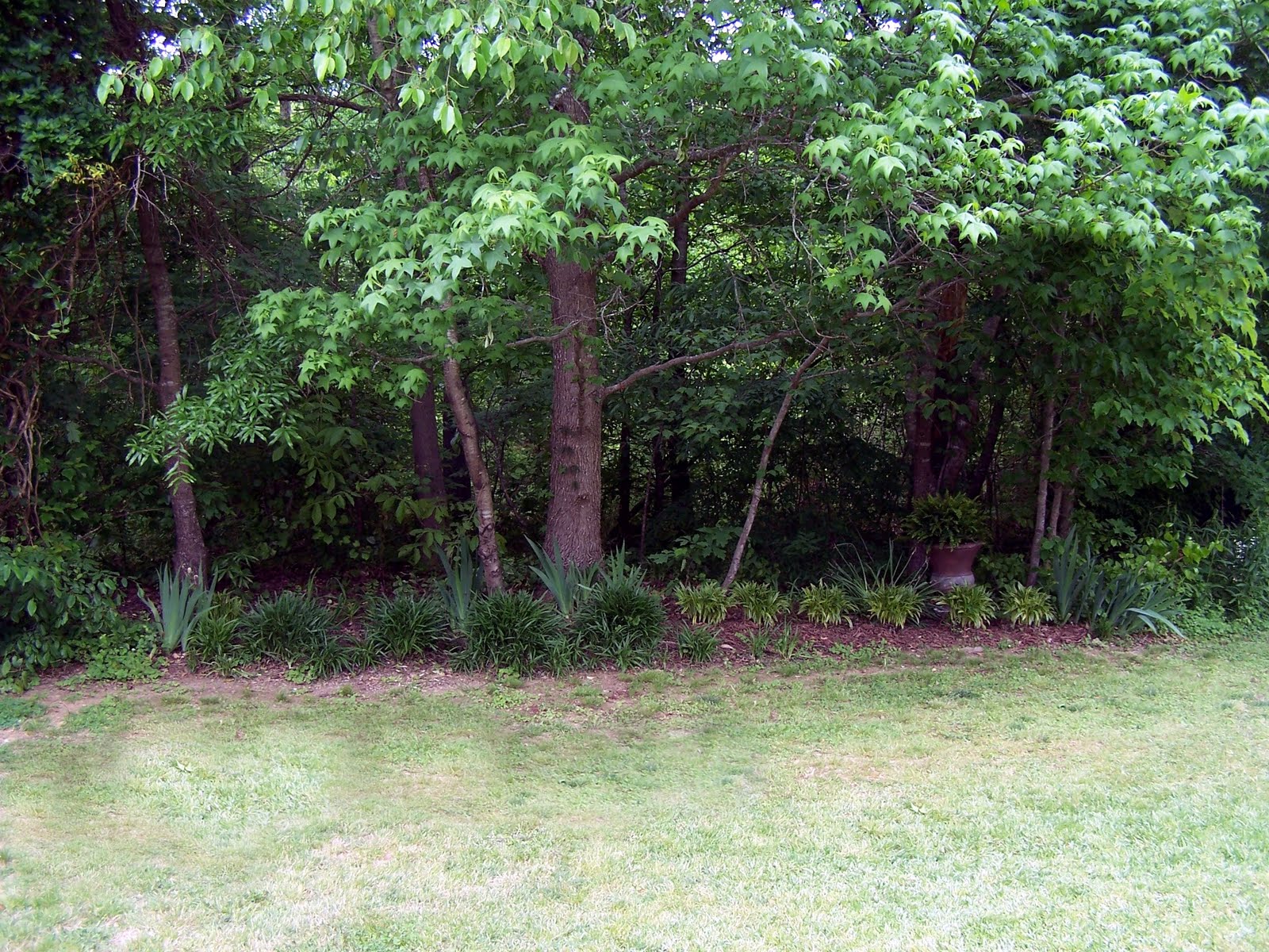 Get This House Now 1066 Blackwell Loop, Jasper, AL 35501